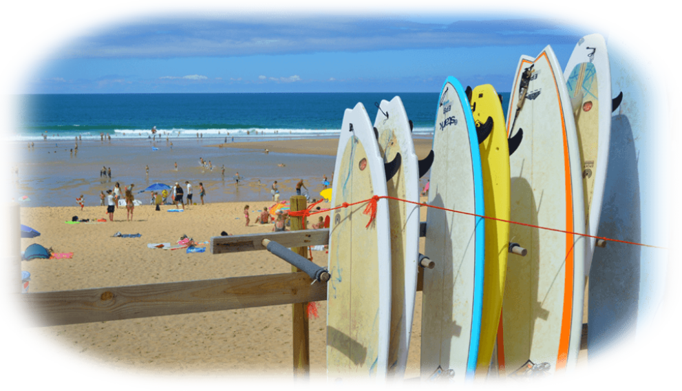 Surfboard Surfboard