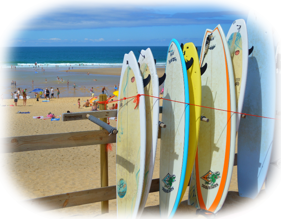 Surfboard Surfboard